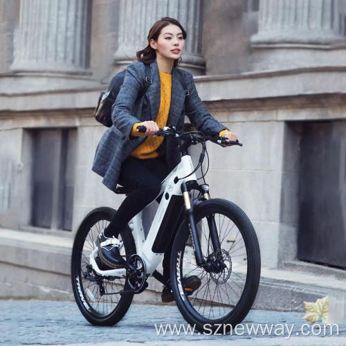 HIMO C26 26 Inch Electric Bicycle 48V250W